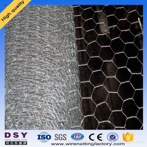 chicken wire mesh/hexagonal wire netting